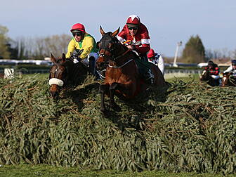 Grand National hero Tiger Roll...